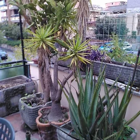 Panzió Aloe