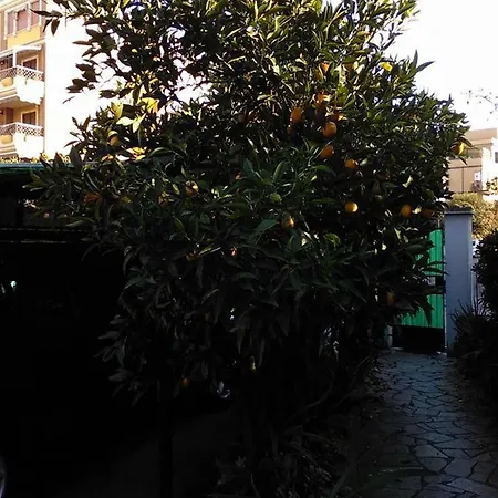 Panzió Aloe