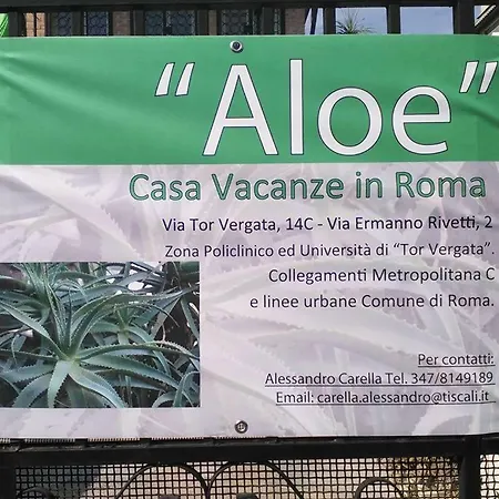 Aloe Panzió